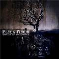 : Metal - Black Magik -  Words of Prophecy  (19.8 Kb)