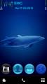 : Dolphin Family HD v5