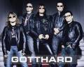 : Gotthard - One Life One Soul