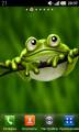 :  Android OS - Cute Froggy - v.1.0 (12 Kb)