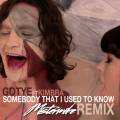 :  - Gotye Feat. Kimbra - Somebody That I Used To Know (Bastian Van Shield Remix) (19.2 Kb)