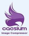 : Caesium 1.6.1 Stable