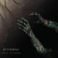 : Afterimage - Unveil The Unseen (2013)