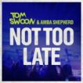 : Drum and Bass / Dubstep - Tom Swoon ft Amba Shepherd  Not Too Late (Bassnectar & PatrickReza Remix) (5.9 Kb)