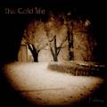 : This Cold Life - Fallacy (2013)