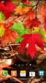 : Falling Autumn Leaves LWP PRO -     PRO - v.1.0.2