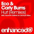 : Trance / House - Eco and Carly burns - Hurt (cold rush remix) (21.2 Kb)