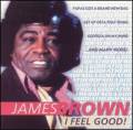 : James Brown - I Got You (I Feel Good)