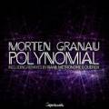 : morten granau - polynomial (original mix) (10.2 Kb)