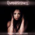 : Evanescence - Bring Me To Life (Dmitry Molosh Unofficial Deep)