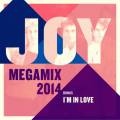: Disco - Joy - Megamix 2014 (Long Version) (19.4 Kb)