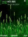 : Grass@Trewoga. (22.6 Kb)