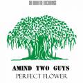 : amind two guys - perfect flower(original mix)