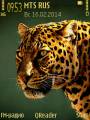: Jaguar@Trewoga. (27 Kb)