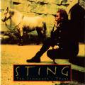 : Sting - Shape of my heart