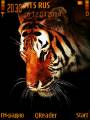 : The Tiger@Trewoga. (23.1 Kb)
