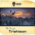 : Trance / House - The Parazite - Tristesse (Soleeman Remix) (11.1 Kb)