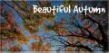 : Beautiful Autumn LWP v1.0