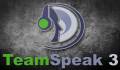 : TeamSpeak 3 Client 3.1.1.1 (x64/64-bit) (8.4 Kb)