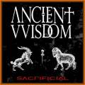 : Metal - Ancient Wisdom - Blind Leading the Blind (22.9 Kb)