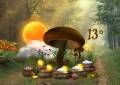 : Mushroom Weather