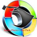 : Media Player Codec Pack 4.3.8 (18 Kb)