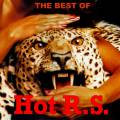 : HOT R.S. - The Best Of HOT R.S. 1977-1980 (2014) (26.9 Kb)