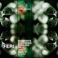 : Feri - Moments Becoming Endless Fall (Original Mix) (21 Kb)