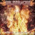 : Subliminal Code - Flame (Remix By Disorden Faith)