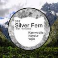 : Quino (FR) - Silver Fern (Nayour Remix)