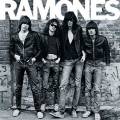 : The Ramones - Greatest Hits (1996) (21.4 Kb)