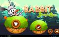 : Rabbit Jungle Run  v.3.0 (11.3 Kb)