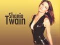 : Shania Twain - Ka-Ching!