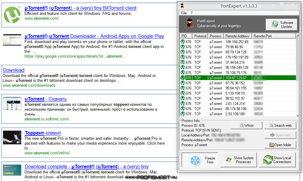 torrent client with remote access