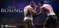 : Real Boxing (Cache)