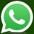 :  Android OS - WhatsApp 2.12.158 Final (12 Kb)