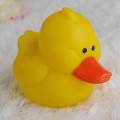 :  Duck Toy