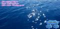 : Floating Blue Sea Reflection v1.4