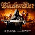 : Blackwelder - With Flying Colors