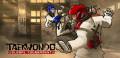 : Taekwondo Game 1.5.55148636 Unlocked (8.6 Kb)