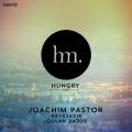 : Joachim Pastor - Reykjavik (original mix)