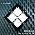 : Drum and Bass / Dubstep - Radicall - Aquamarine (Original Mix) (21.6 Kb)