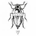: Trance / House - Nuemp - Bug of June (Night Talk Remix) (14.8 Kb)