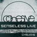 : Trance / House - Senseless Live - Sunrise Pilgrum (David Granha Sunset Remix) (25.7 Kb)