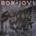: Bon Jovi - Without Love (Vinyl Rip)
