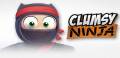 : Clumsy Ninja (Cache) (6.2 Kb)