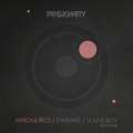 : Hyroglifics - Soundboy (Mtwn Remix) (7.9 Kb)