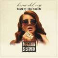 : Trance / House - Lana Del Rey  High By The Beach (MBNN Remix) (18.5 Kb)