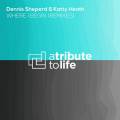 : Trance / House - Dennis Sheperd, Katty Heath - Where I Begin (Evoland Remix) (9.9 Kb)