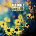 : Paul Harris Feat. Dragonette - One Nights Lover (Nora en Pure Remix) (21.1 Kb)